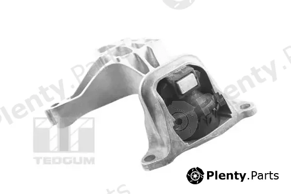 Tedgum TED37615 — Mounting, engine
