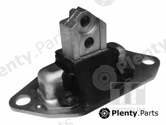 Tedgum 00745688 — Mounting, engine