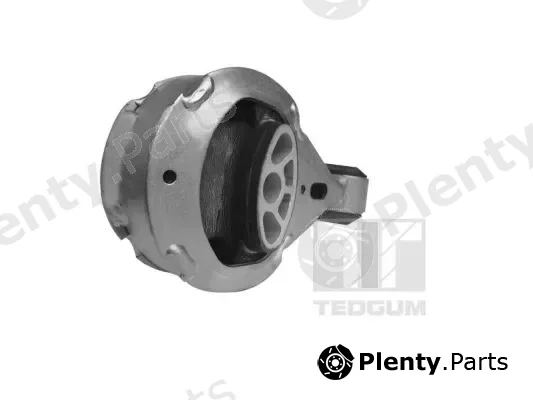 Tedgum 00588828 — Mounting, engine