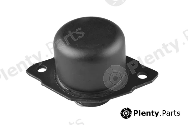 Tedgum 00725574 — Mounting, engine