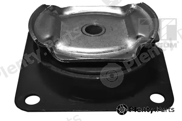 Tedgum 00089333 — Mounting, differential