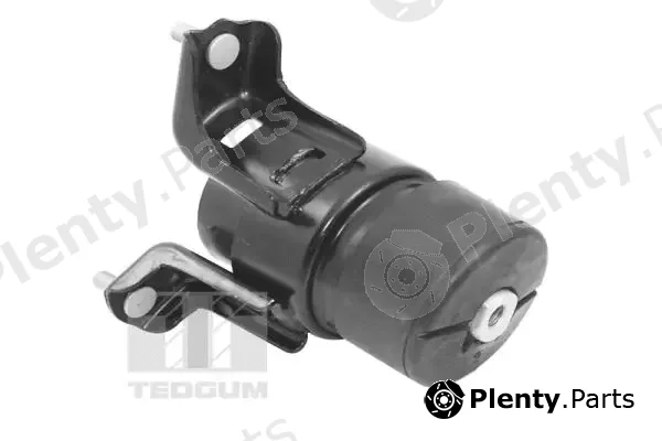 Tedgum TED62860 — Mounting, engine