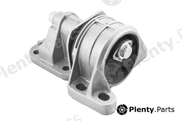 Tedgum TED51099 — Mounting, engine