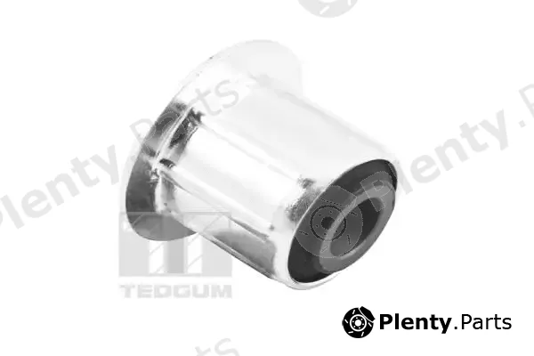 Tedgum 00214449 — Mounting, leaf spring