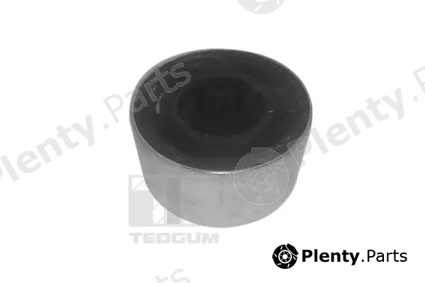 Tedgum 00024603 — Mounting, control/trailing arm
