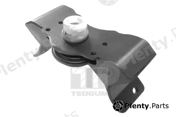 Tedgum 00676905 — Mounting, engine