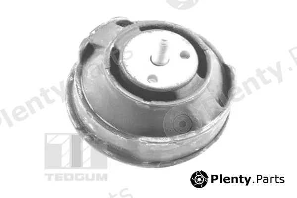 Tedgum 00080630 — Mounting, engine