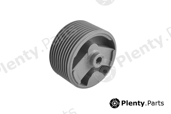 Tedgum 00463831 — Mounting, engine