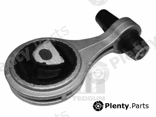 Tedgum 00215777 — Mounting, engine