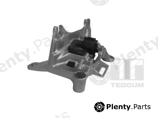 Tedgum 00588805 — Mounting, engine