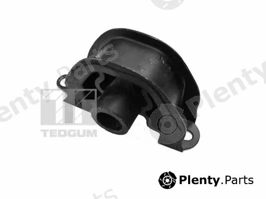 Tedgum 00607589 — Mounting, engine