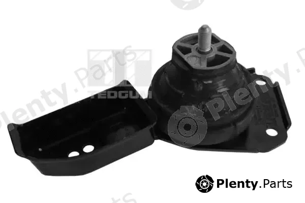 Tedgum 00724499 — Mounting, engine