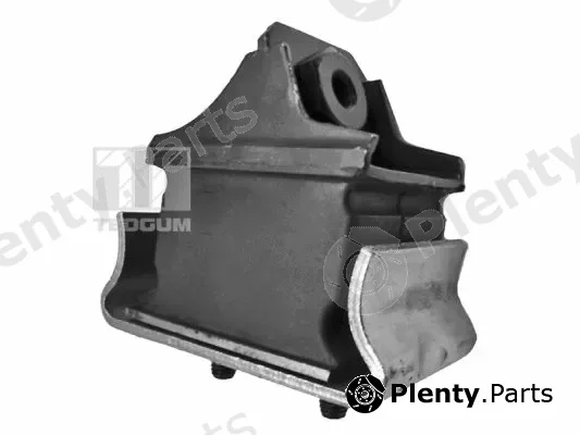 Tedgum 00726344 — Mounting, engine
