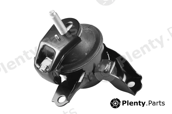 Tedgum TED13667 — Mounting, engine