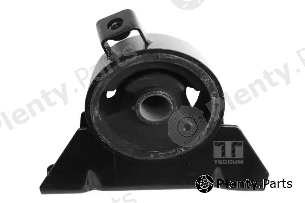 Tedgum 00393484 — Mounting, engine