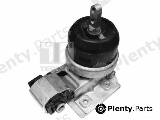 Tedgum 00725522 — Mounting, engine