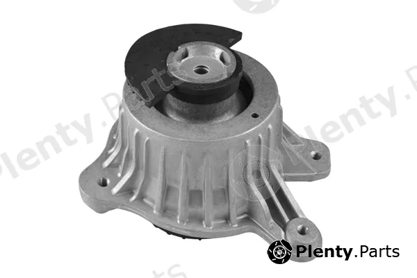 Tedgum TED25884 — Mounting, engine