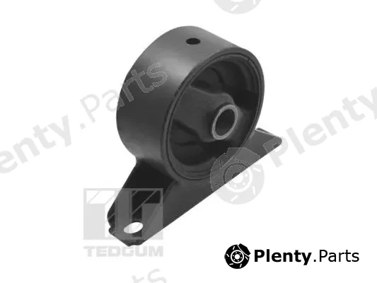 Tedgum TED18493 — Mounting, engine