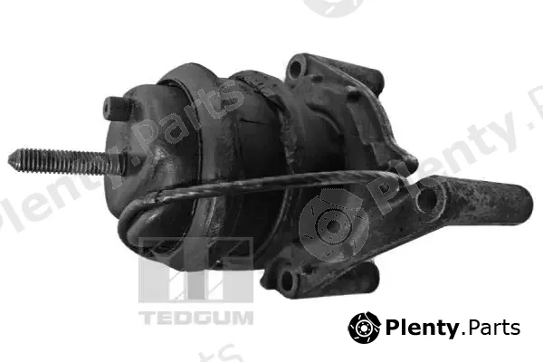 Tedgum 00617593 — Mounting, engine