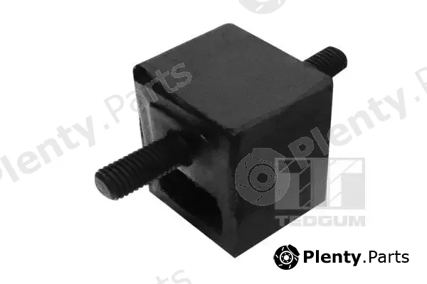 Tedgum 00086286 — Mounting, engine