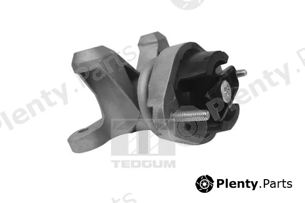 Tedgum 00058910 — Mounting, engine