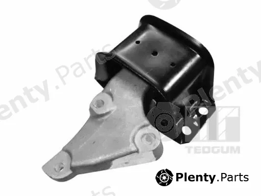 Tedgum 00516309 — Mounting, engine