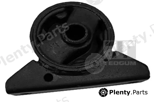 Tedgum 00440699 — Mounting, engine
