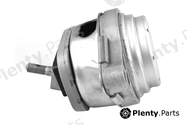 Tedgum TED53740 — Mounting, engine