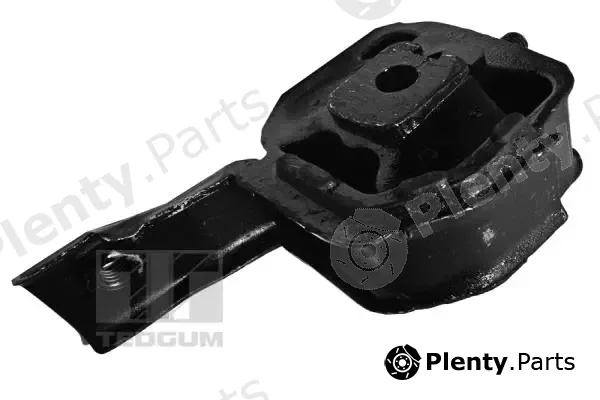 Tedgum 00220621 — Mounting, engine