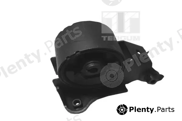 Tedgum 00461052 — Mounting, engine