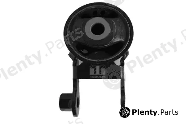 Tedgum 00672439 — Mounting, engine
