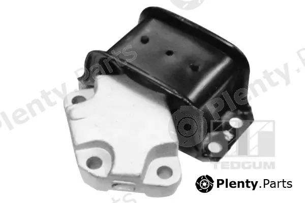 Tedgum 00145790 — Mounting, engine