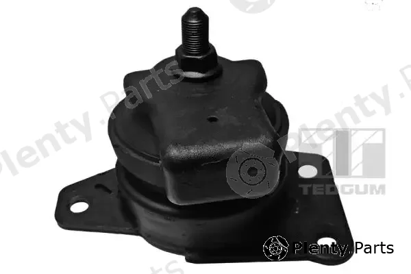 Tedgum 00288192 — Mounting, engine