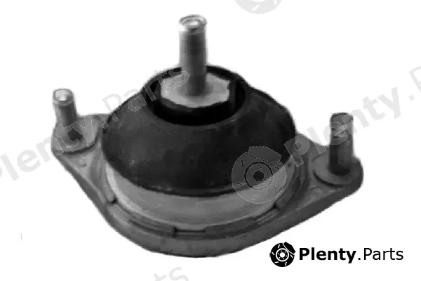 Tedgum 00050079 — Mounting, engine