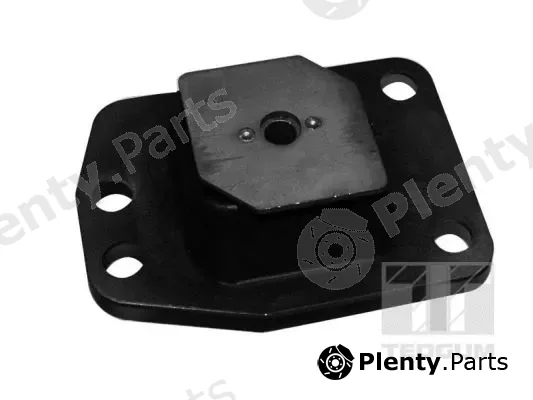 Tedgum 00619276 — Mounting, engine