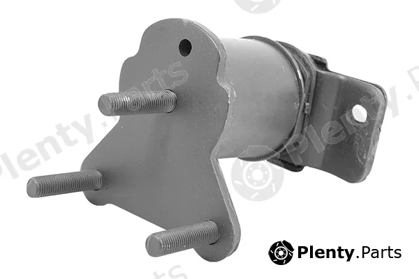 Tedgum TED20379 — Mounting, engine