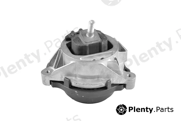 Tedgum TED98788 — Mounting, engine