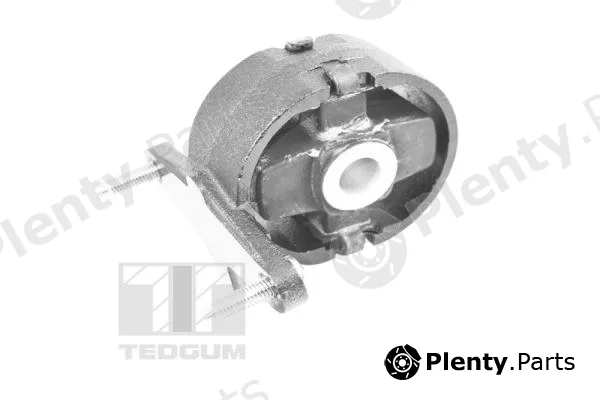 Tedgum TED26769 — Mounting, engine