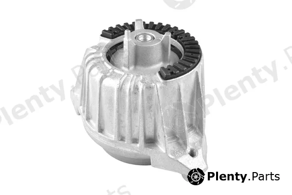 Tedgum TED39310 — Mounting, engine