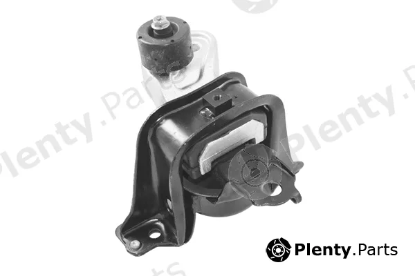 Tedgum TED13145 — Mounting, engine
