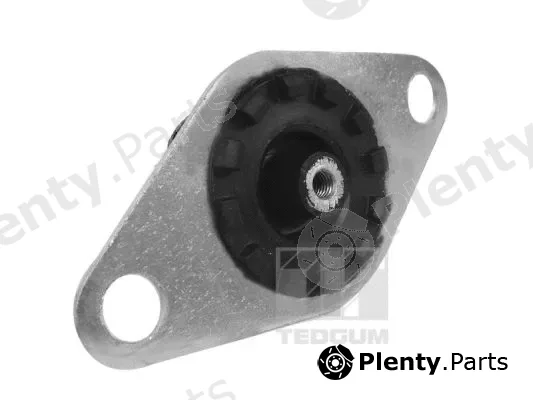 Tedgum 00215024 — Mounting, engine