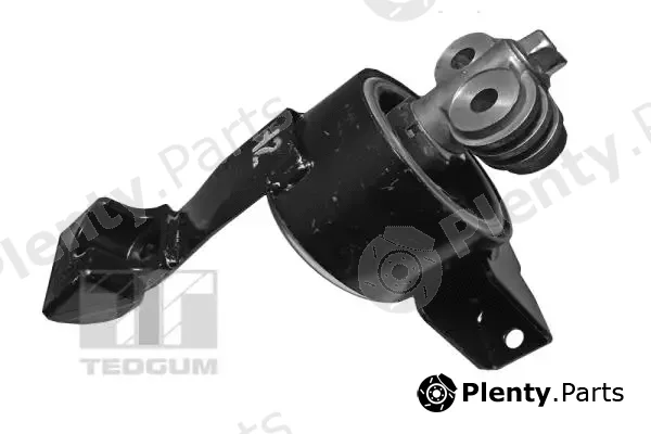 Tedgum 00127938 — Mounting, engine