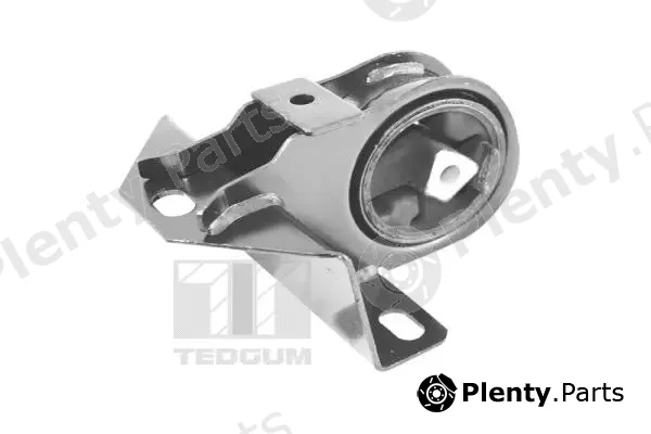 Tedgum 00190522 — Mounting, engine