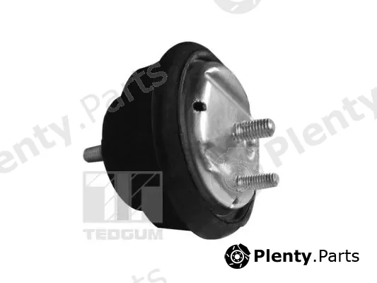 Tedgum 00089778 — Mounting, engine