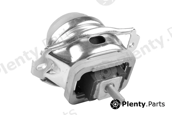 Tedgum TED39572 — Mounting, engine
