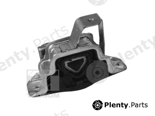 Tedgum 00219490 — Mounting, engine