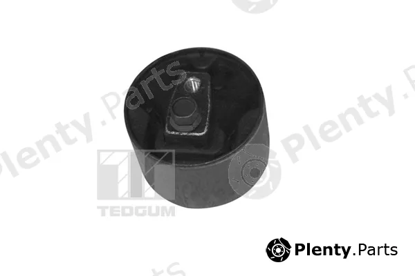 Tedgum 00349747 — Mounting, engine