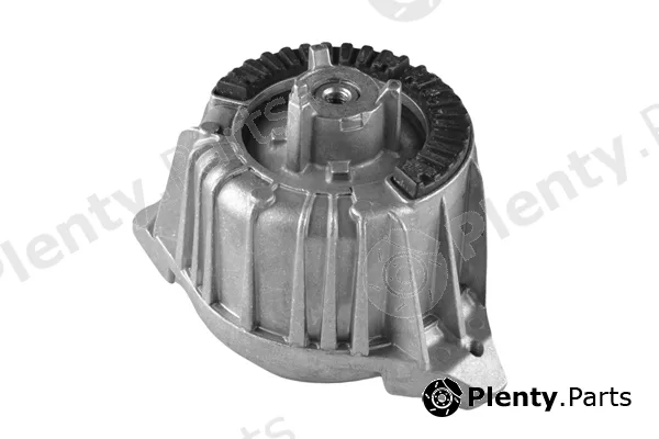 Tedgum 00418473 — Mounting, engine