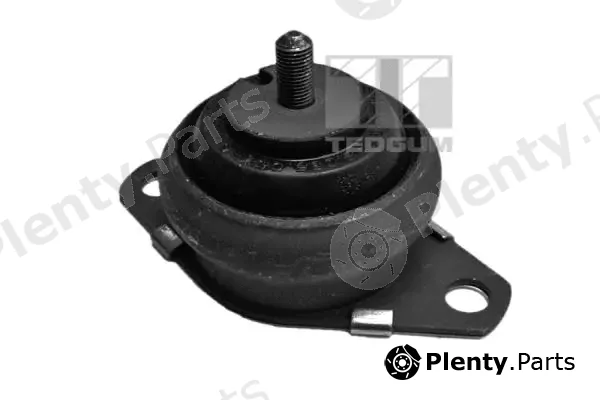 Tedgum 00216114 — Mounting, manual transmission support