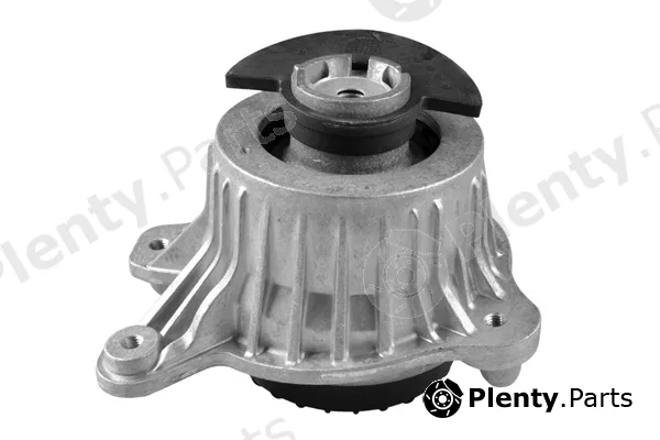 Tedgum TED99530 — Mounting, engine